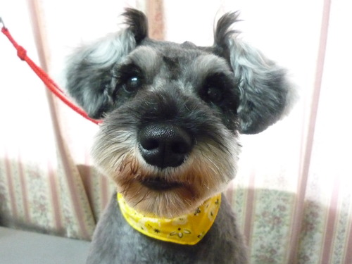 http://pet.e6.valueserver.jp/blog/P1050405.jpg