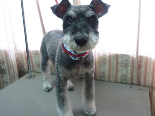 http://pet.e6.valueserver.jp/blog/P1050577.jpg