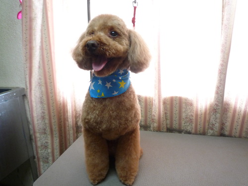 http://pet.e6.valueserver.jp/blog/P1050675.jpg