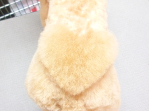http://pet.e6.valueserver.jp/blog/P1050813.jpg