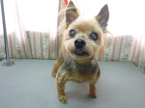 http://pet.e6.valueserver.jp/blog/P1050857.jpg