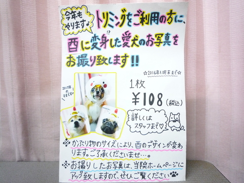 http://pet.e6.valueserver.jp/blog/P1090555.jpg