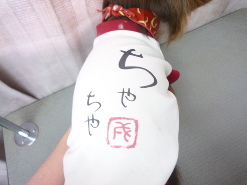 http://pet.e6.valueserver.jp/blog/P1100997.jpg
