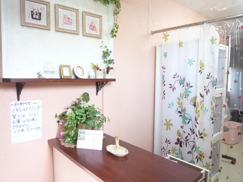 http://pet.e6.valueserver.jp/blog/P1110110.jpg
