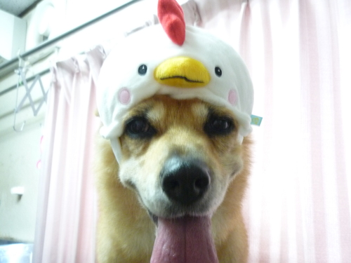 P1090673.jpg