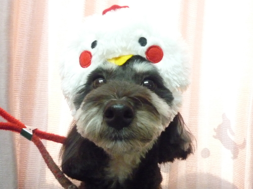 P1100169.jpg