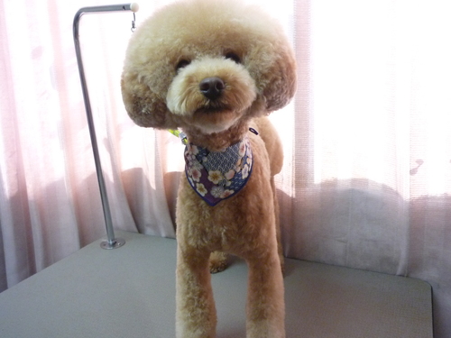 P1100645.jpg